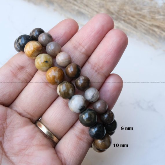 Petrified Wood Bracelet