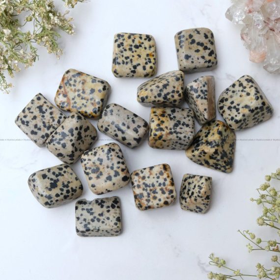 Dalmatian Jasper Tumble