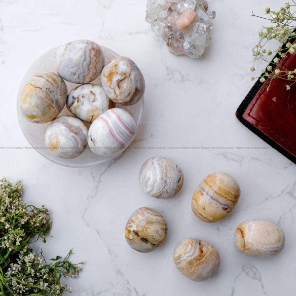 Premium Fossil Coral Tumble - Image 2