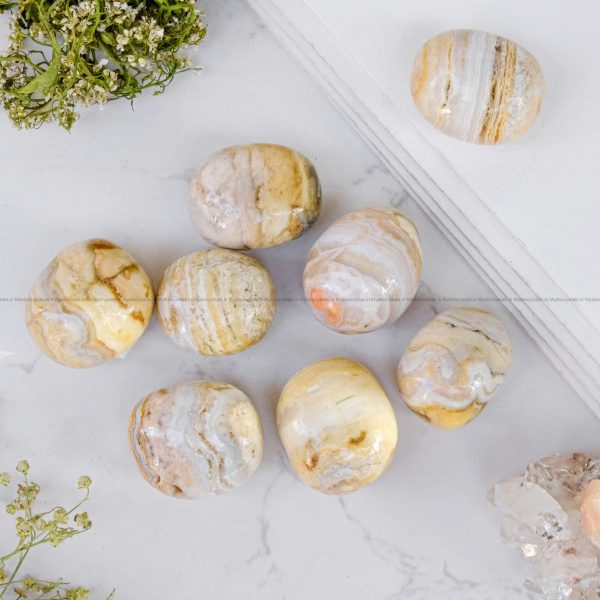 Premium Fossil Coral Tumble - Image 4