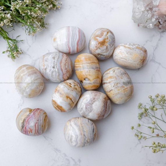 Fossil Coral Tumble