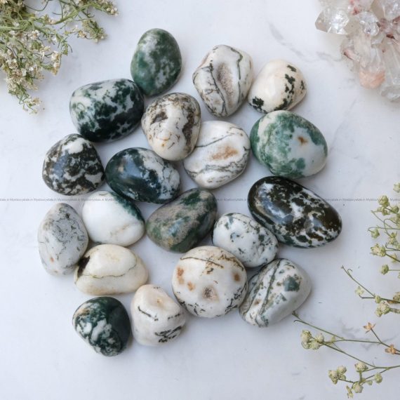 Tree Agate Tumble