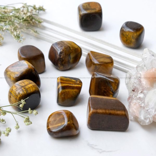 Tiger Eye Tumble - Image 3