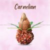 Carnelian Copper/Tamba Kalash - Image 3