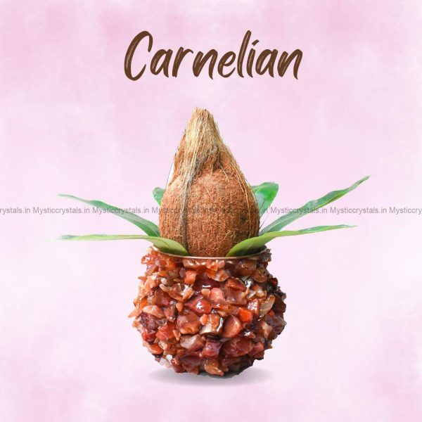 Carnelian Copper/Tamba Kalash - Image 3