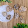 Citrine Raw Crystal