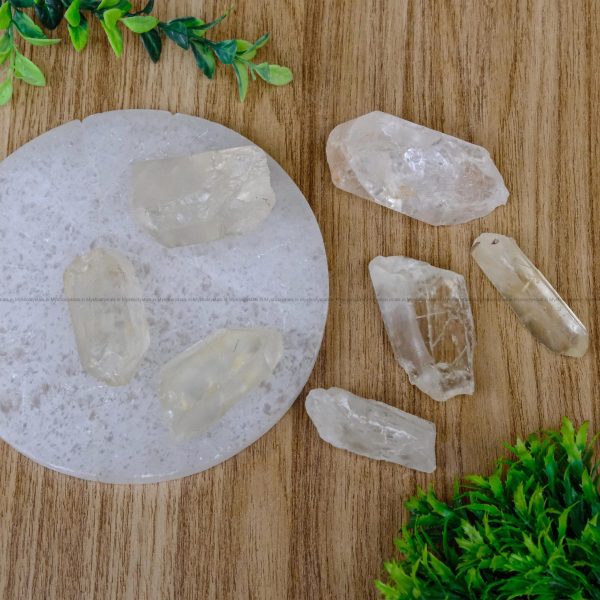 Lemurian Seed Quartz