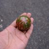 Unakite Sphere/Ball - Image 3