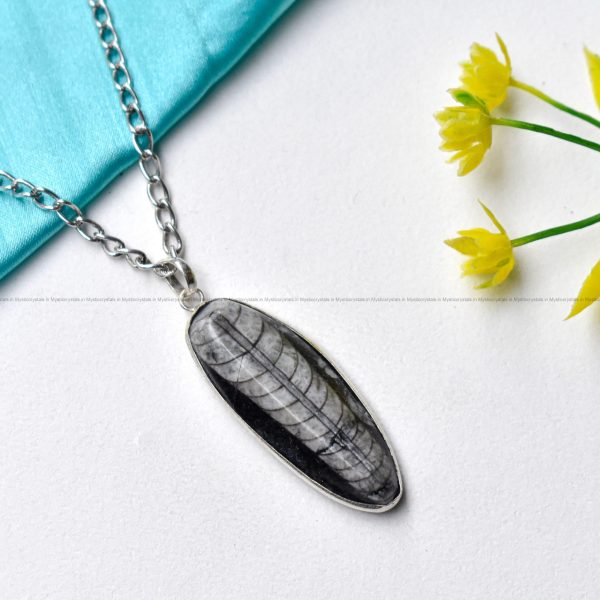 Orthoceras Pendant