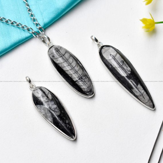 Orthoceras Pendant