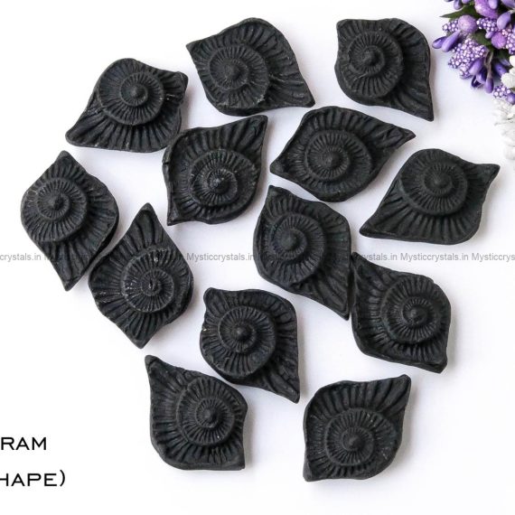 Shaligram Eye Shape
