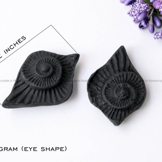 Shaligram Eye Shape