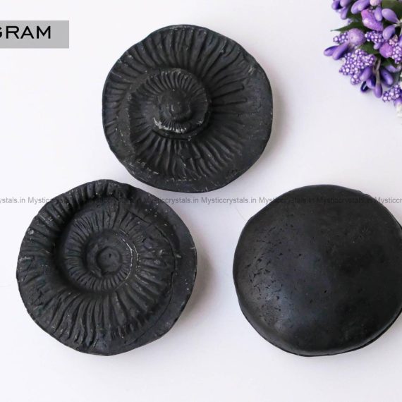 Shaligram stone