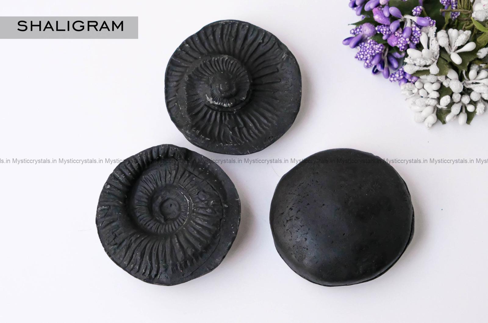 Shaligram stone