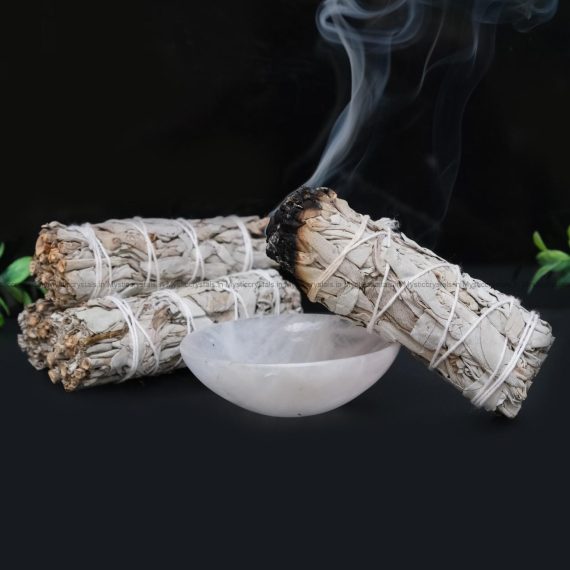 California White Sage