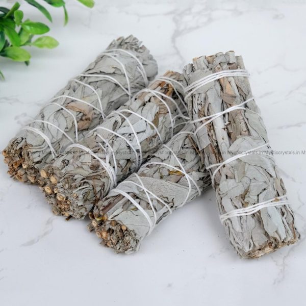 California White Sage