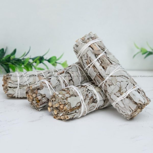 California White Sage