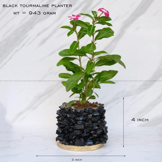 Black Tourmaline Crystal Planters