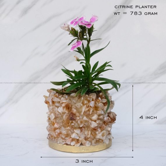 Citrine Crystal Planters