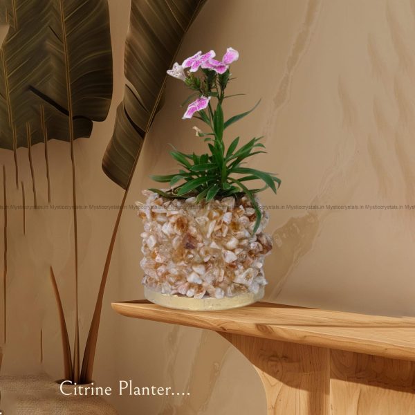 Citrine Crystal Planters