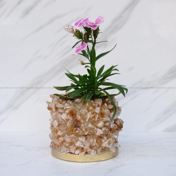 Citrine Crystal Planters