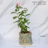 Green Aventurine Crystal Planters