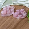 Rose Quartz Mandarian Duck Family