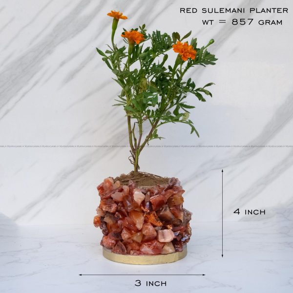 Red Sulemani Crystal Planters