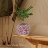 Rose Quartz Crystal Planters