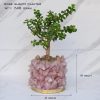 Rose Quartz Crystal Planters