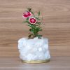Selenite Crystal Planters