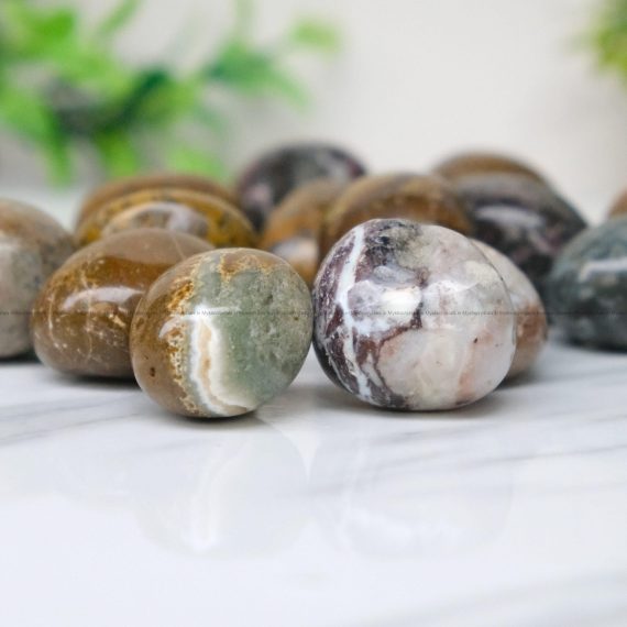 Petrified Wood Tumble