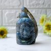 Labradorite Crystal Lord Shiva Head