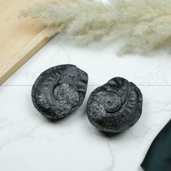 Natural Shaligram