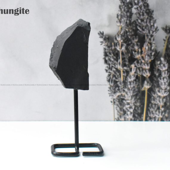 Shungite Standing Raw
