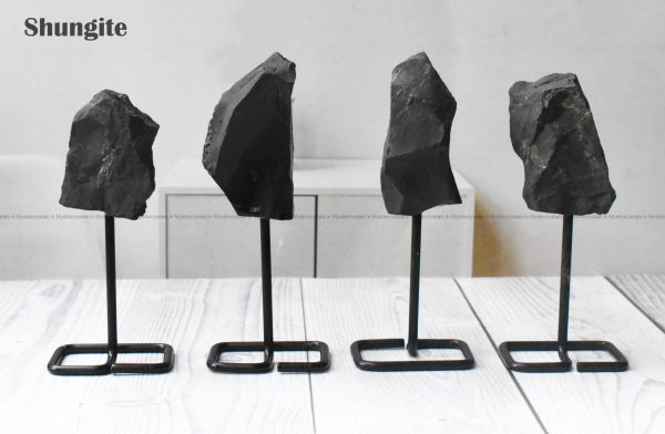 Shungite Standing Raw