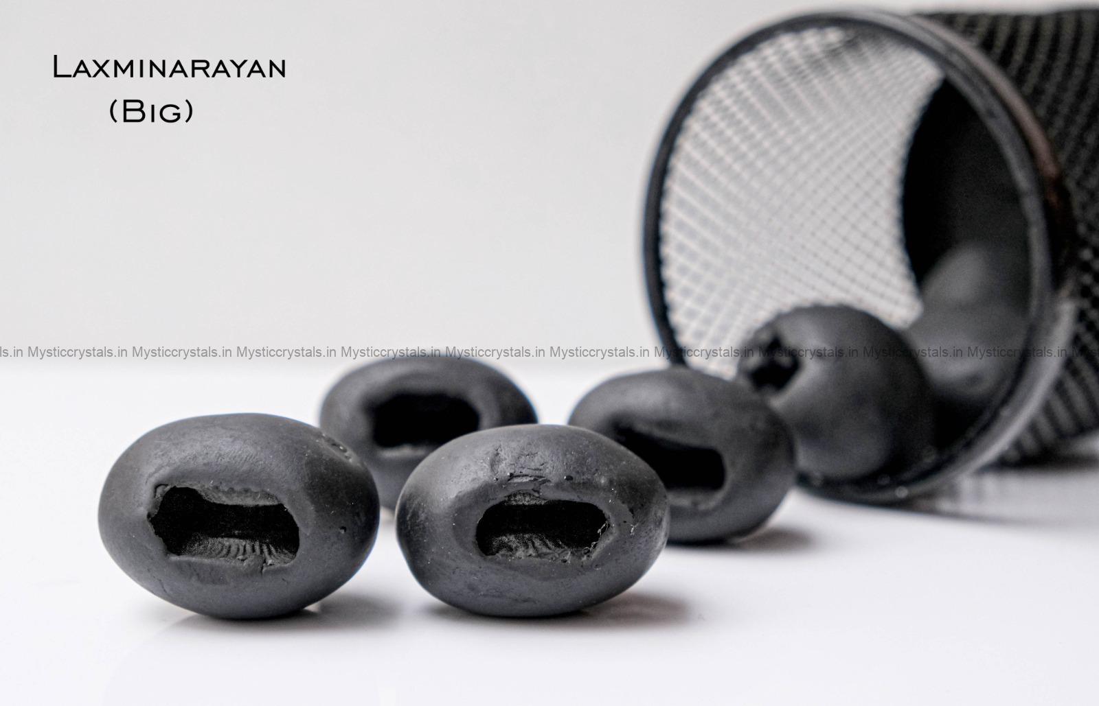 Natural Laxmi Narayan Shaligram