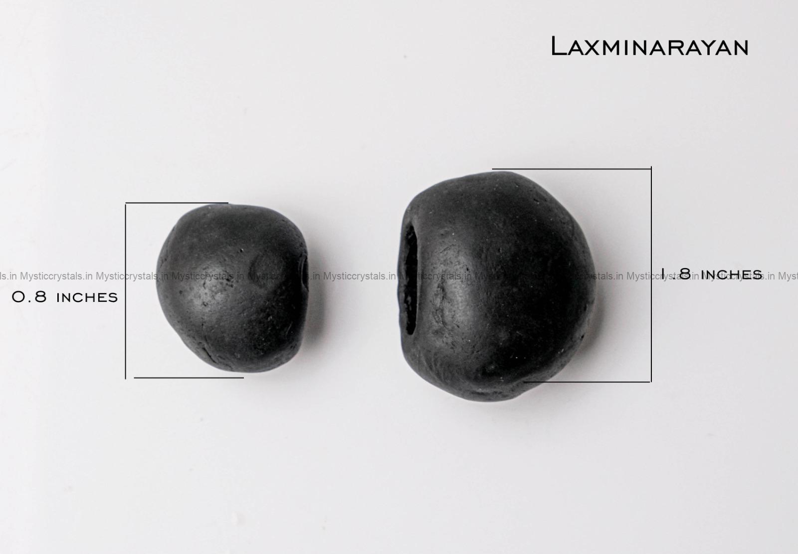 Natural Laxmi Narayan Shaligram