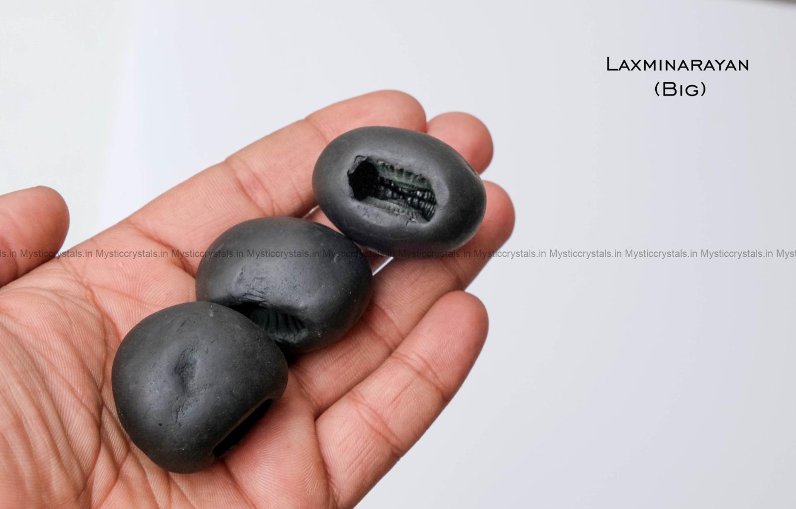 Natural Laxmi Narayan Shaligram