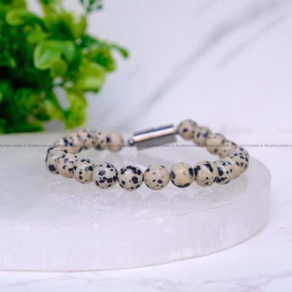 Dalmatian Jasper Metallic Magnetic Bracelet