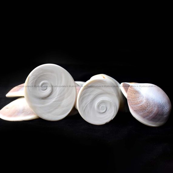 Gomati Chakra For Prosperity