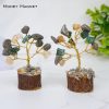 Money Magnet Bonsai Tree set