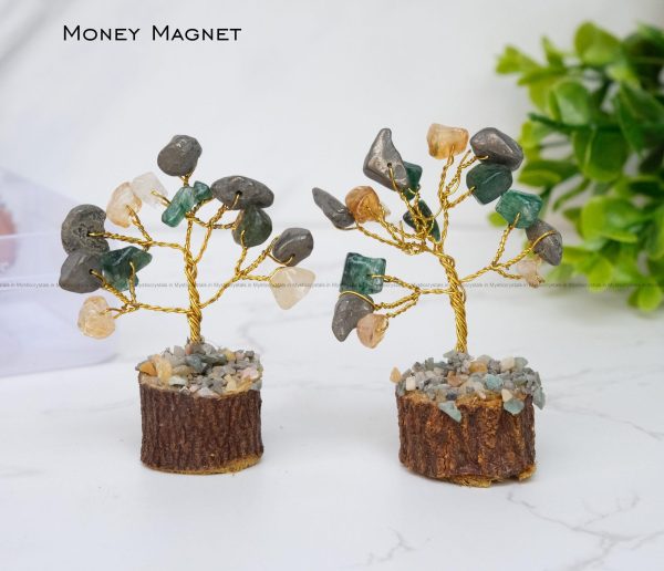 Money Magnet Bonsai Tree set