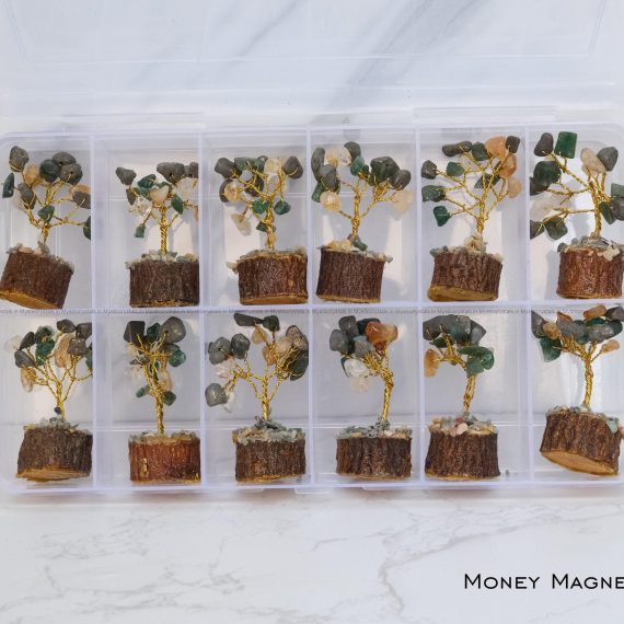 Money Magnet Bonsai Tree set