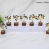Money Magnet Bonsai Tree set