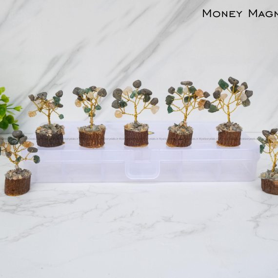 Money Magnet Bonsai Tree set
