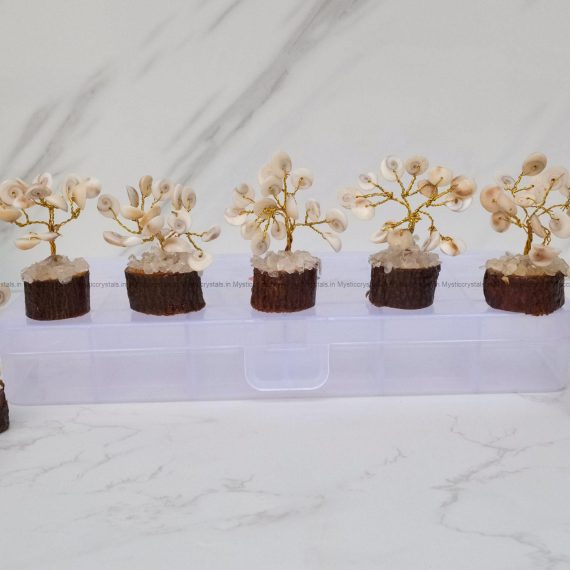 Gomti Chakra Bonsi tree set