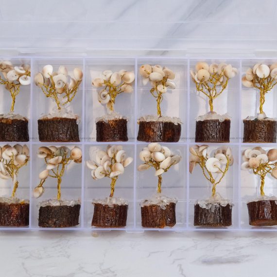 Gomti Chakra Bonsi tree set