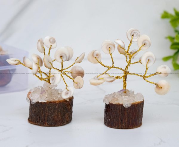 Gomti Chakra Bonsi tree set