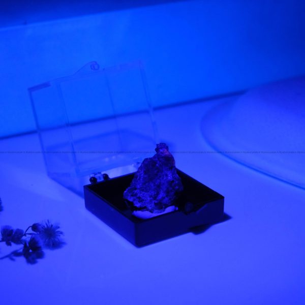 Natural Yooperlite Mineral glow in Blue light